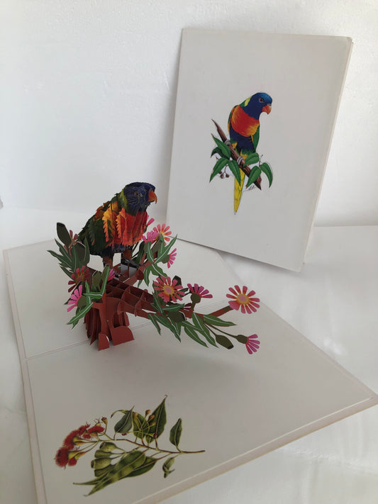 Large Pop Up Card Birds/ Aus Native Rainbow Lorikeet Parrot