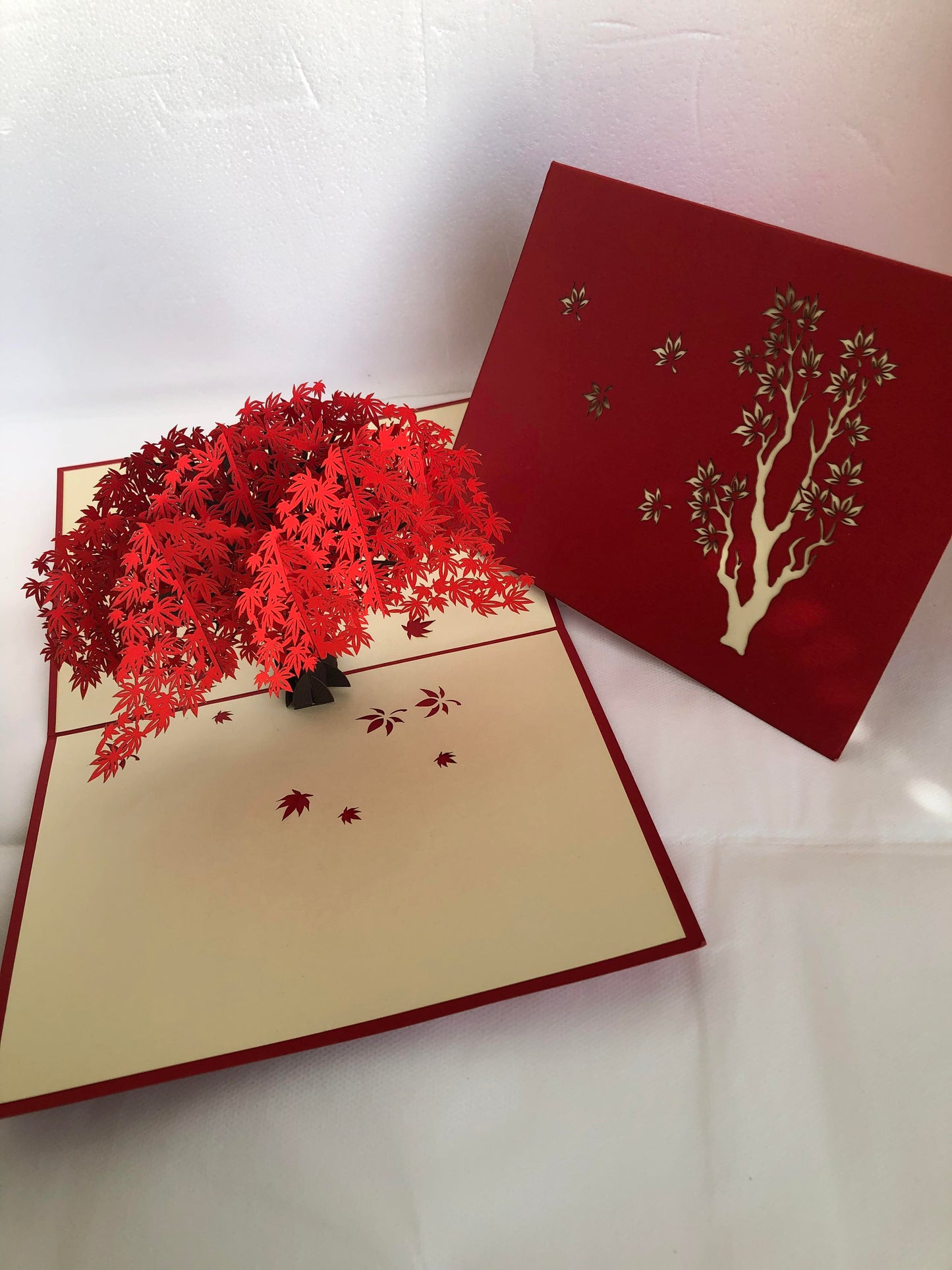Large Pop Up Card Flower, Maple Tree Red Autumn