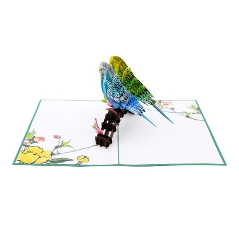 2 Delightful Budgies 3D Pop Up Card